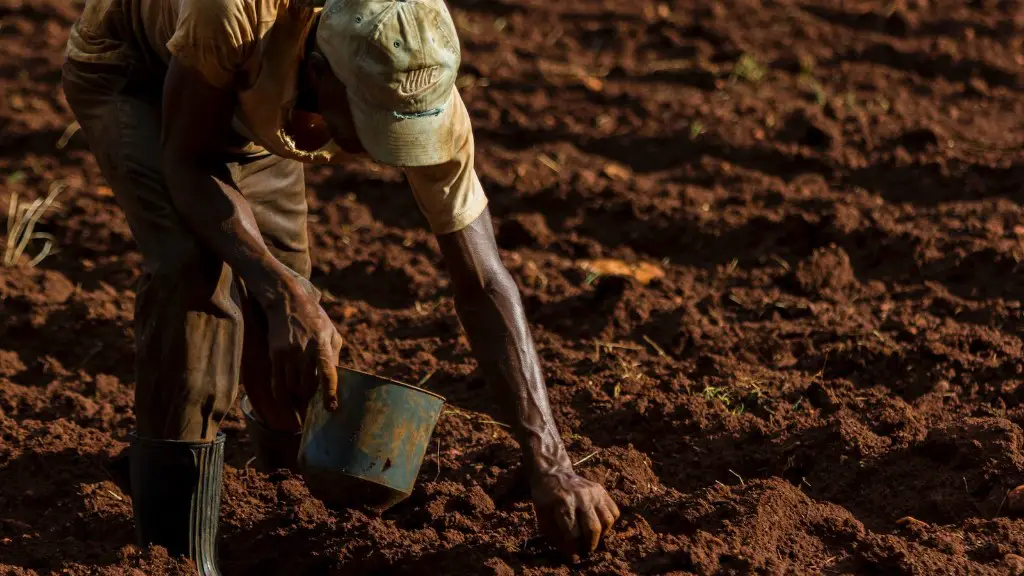 What are the effects of climate change on agriculture?