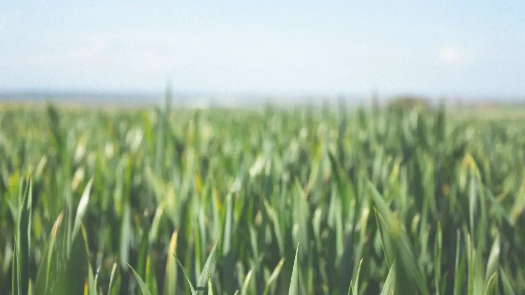 What is natural pasture in agriculture?