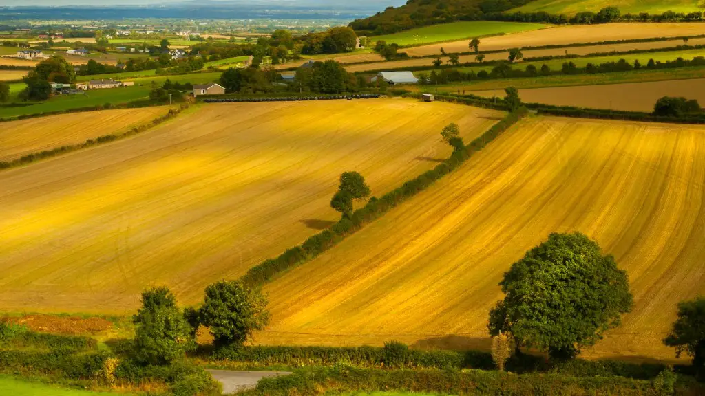 What is frost in agriculture?