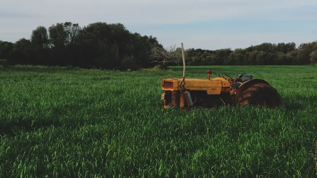 Where did agriculture started?