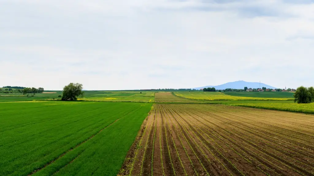 What is the agriculture in brazil?