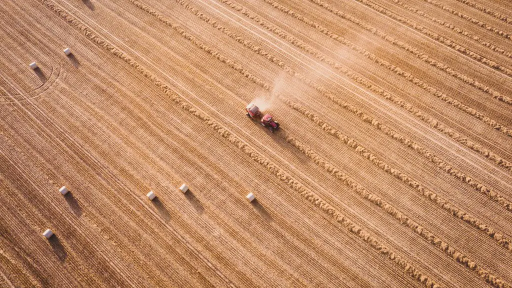Why Agriculture Is An Art