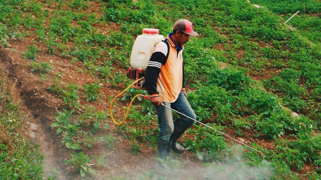 What are tramlines in agriculture?