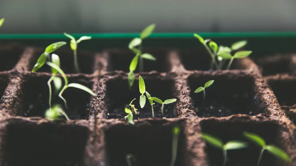 How does agriculture harm the environment?