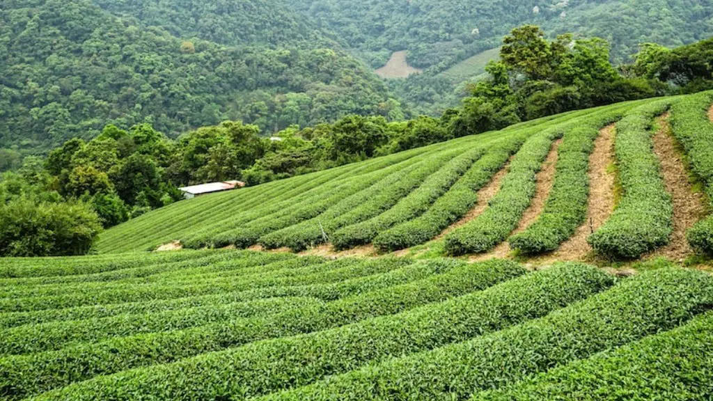 When Did Agriculture Begin In Britain