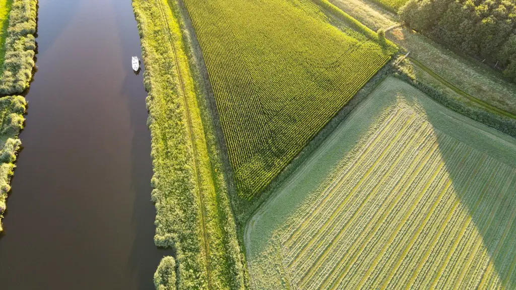 How did the introduction of agriculture affect early peoples?