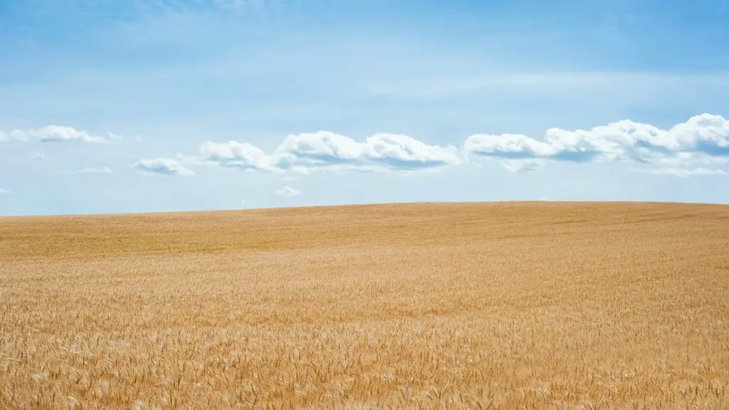 How agriculture led to the development of civilization?