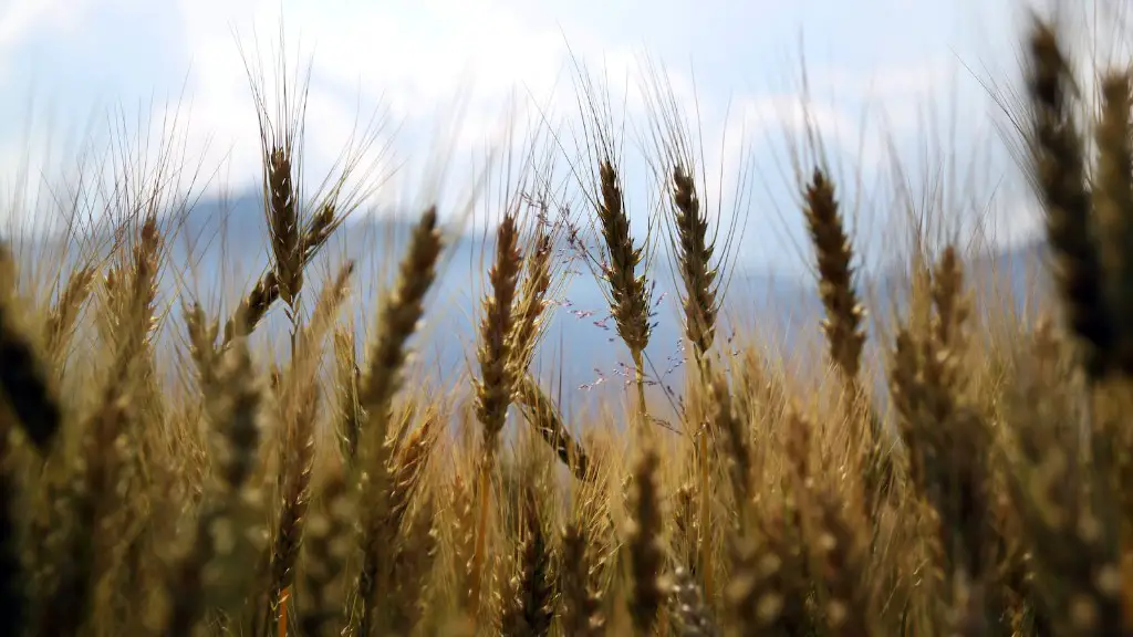 What Are Five Connections Between Agriculture And The Ffa Creed