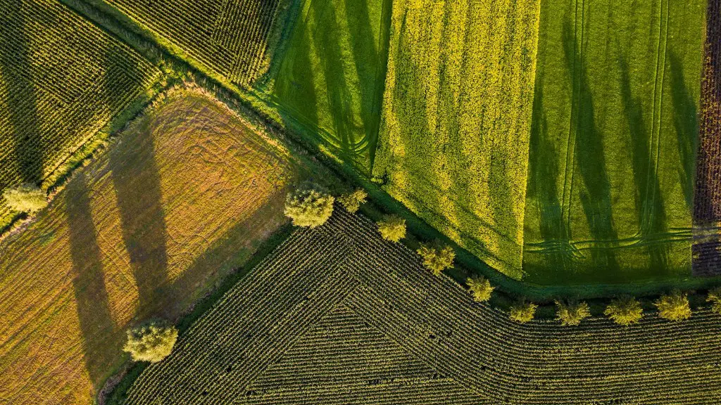 How was the agriculture affected by the great depression?