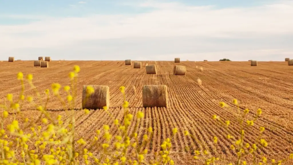 What is the agriculture of california?