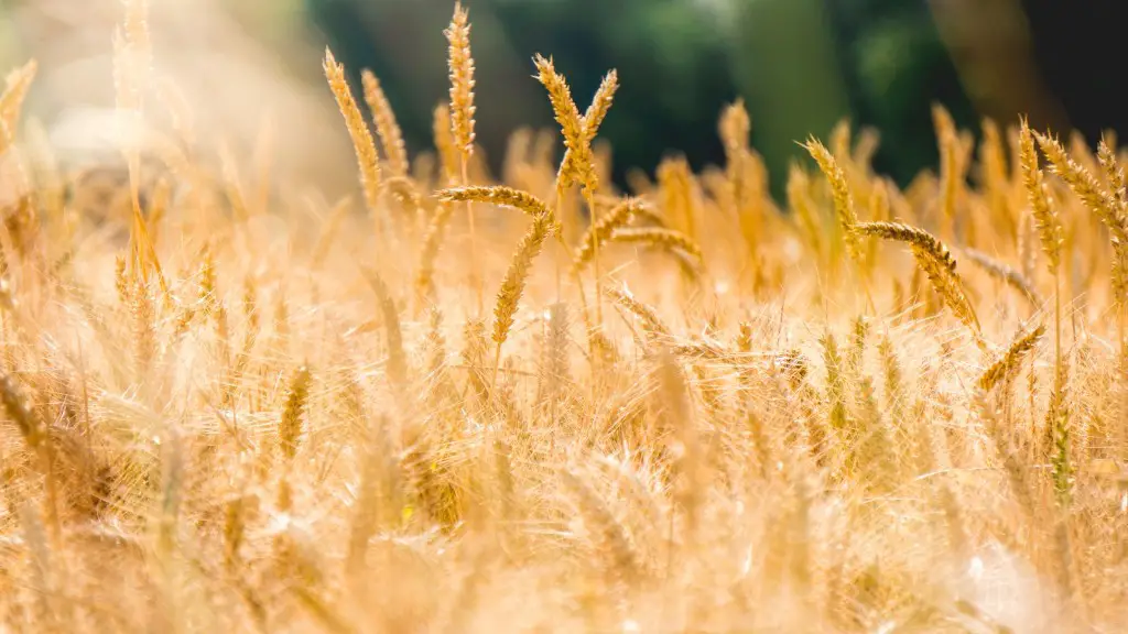 Why Is Agriculture A Perfect Competition