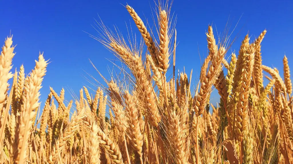 What is natural pasture in agriculture?
