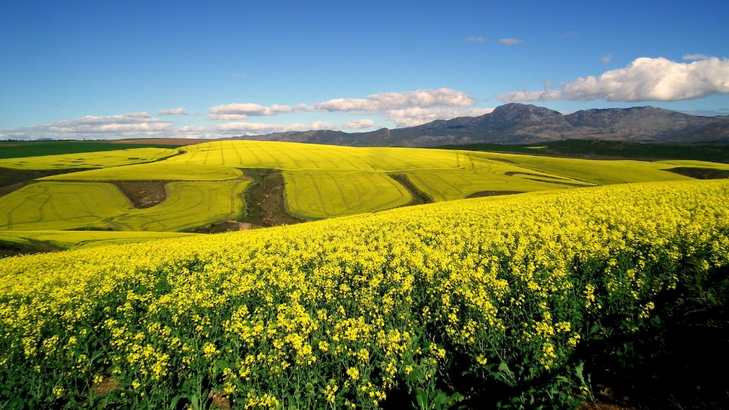 How Did Agriculture Change The Way People Lived