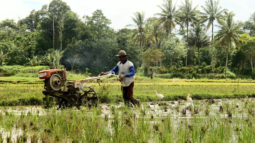 What is forestry in agriculture?