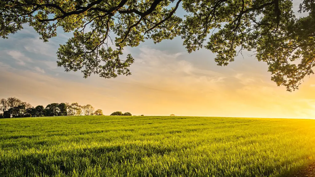 What are the branches of agriculture and its definition?