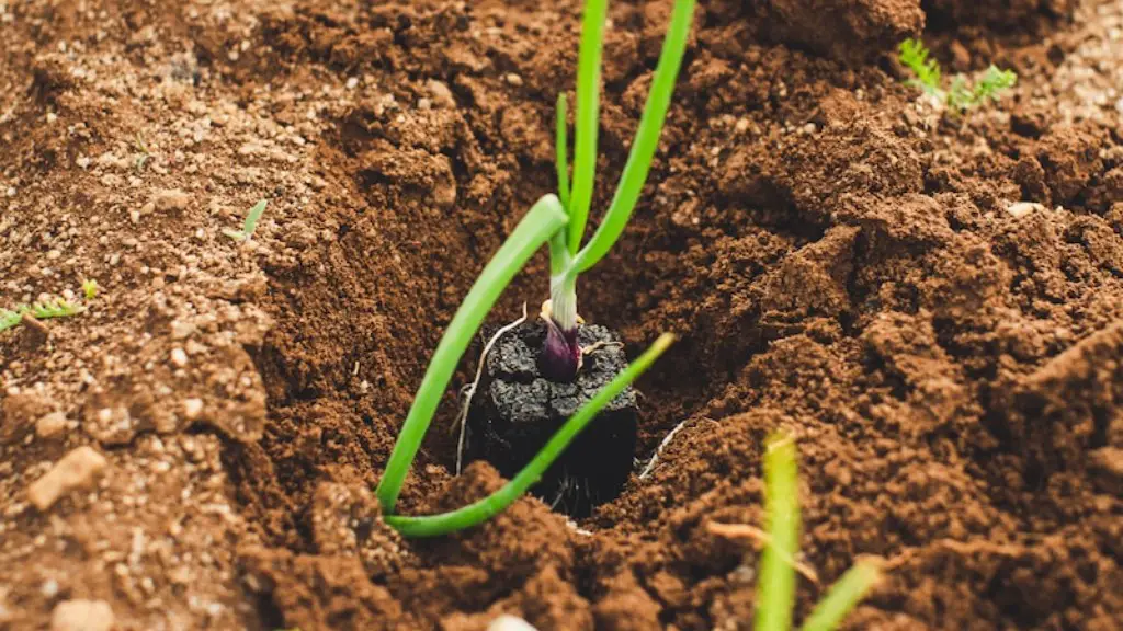 How Did Agriculture Encourage The Development Of Villages