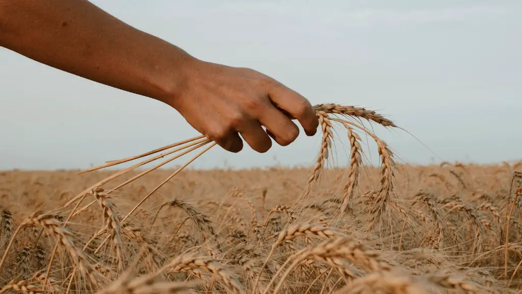 Why is alluvium important to agriculture?